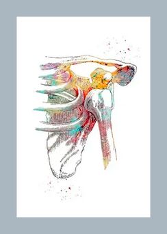 Mikrotsirkulatsiooni parandamine liiges- ja lihaskudedes